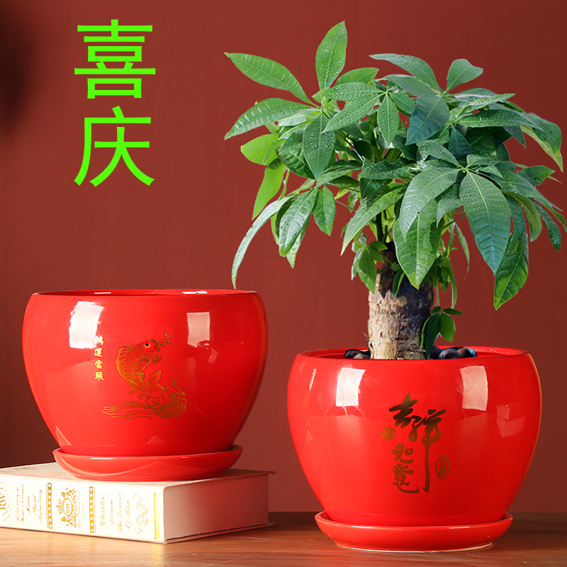 中国红陶瓷花盆特大号苹果型创意室内桌面喜庆绿萝发财树透气花盆