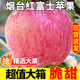 山东烟台红富士苹果水果新鲜整箱当季脆甜丑平果应季10小冰糖心斤
