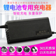 适用于凤凰锂电池电动车折叠车充电器48V54.6V2A代驾车单车36伏