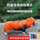柯基雨衣宠物用品短腿专用春夏衣服四脚全包防水狗狗的雨披薄款