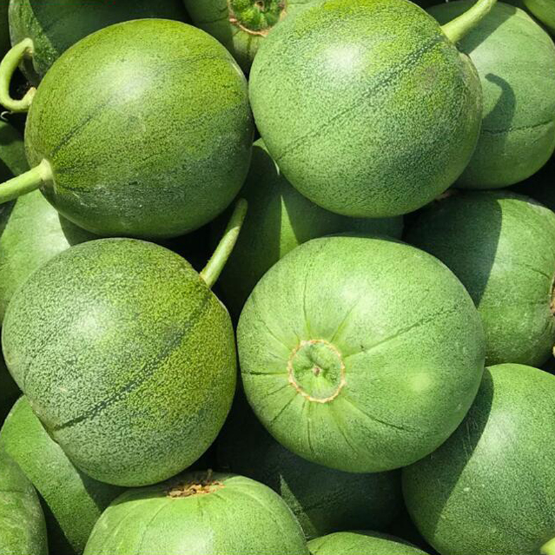 山东绿宝甜瓜小香瓜新鲜包邮爱心绿宝石当季吃货整箱5斤水果