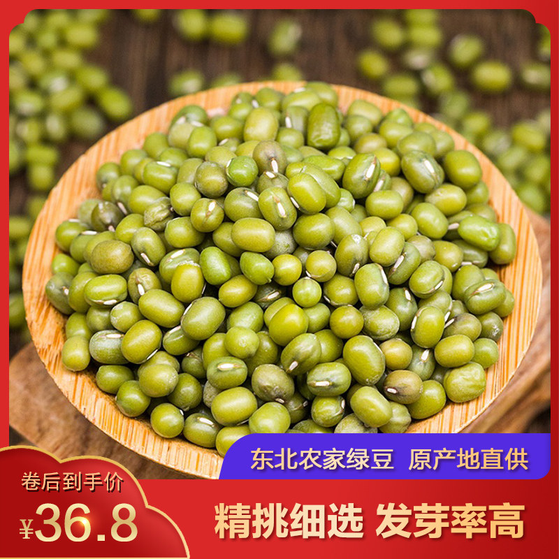 龙江原产地直供东北绿豆5斤新鲜农家自产自销五谷杂粮油豆浆豆芽