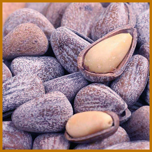 开口松子王 249g 椒盐味精选 散装 干果坚果炒货 波安庄园 新货