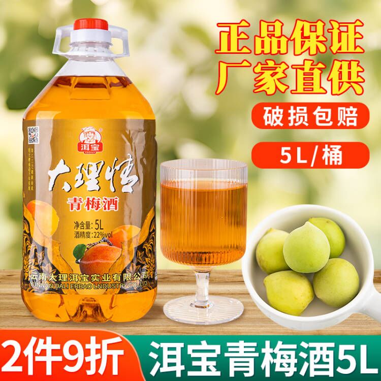 洱宝青梅酒5L云南大理特产雕梅酒木瓜果酒桶装聚餐配制果味酒水