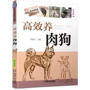 官方正版 高 效养肉狗 李顺才 养殖致富直通车 经典实用技术图书 农业技能培训教材