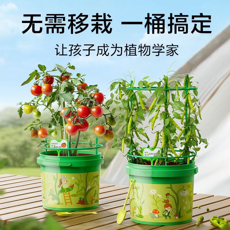 儿童diy种植小盆栽草莓番茄种子幼儿园学生种植蔬菜生长观察农场