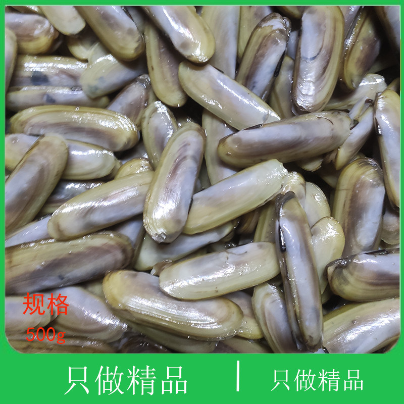大连特产野生鲜活双头小人蚬贝类蛏
