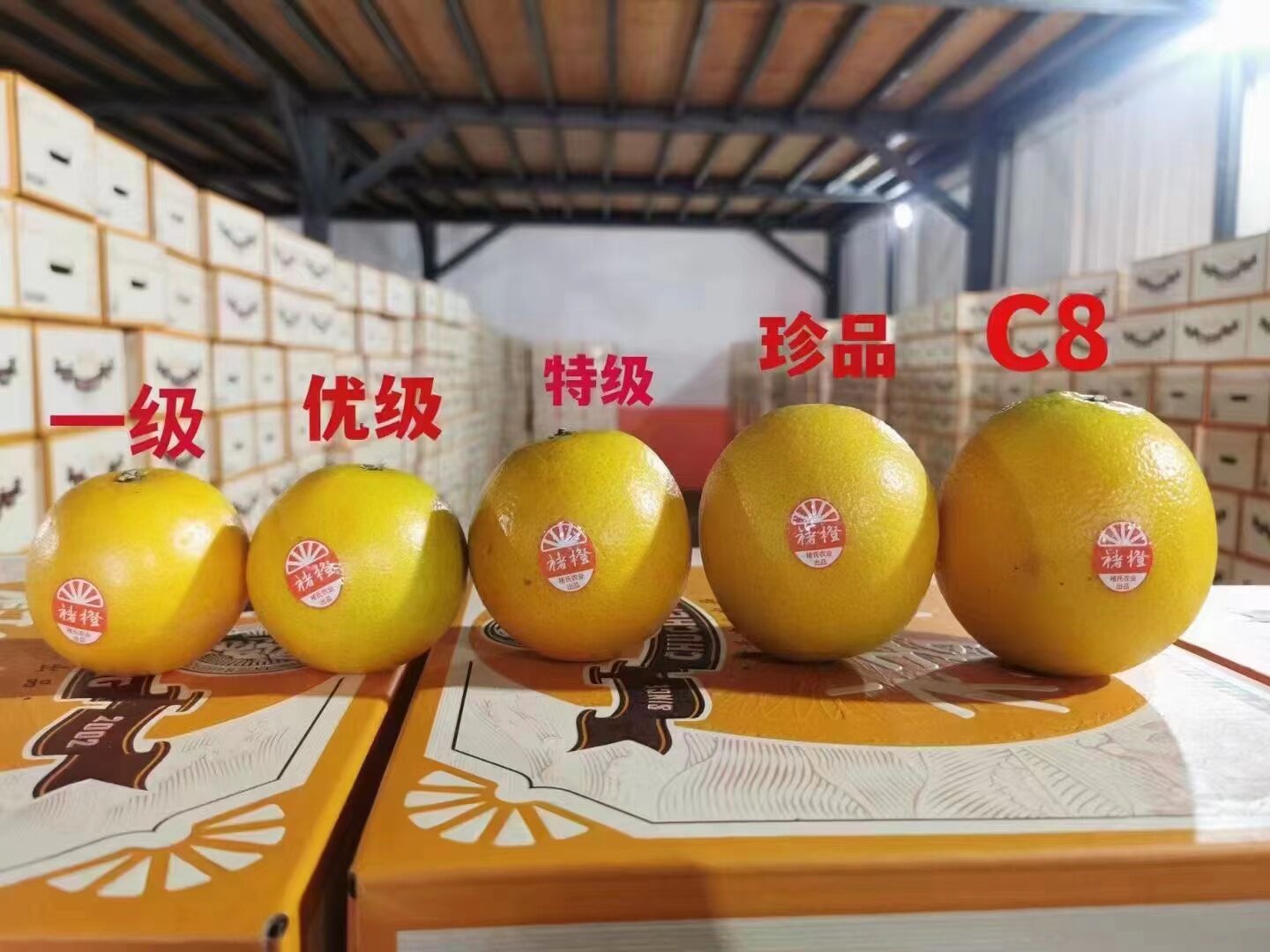 云南玉溪冰糖橙新鲜褚橙水果甜橙当季整箱礼盒装10斤包邮特级果