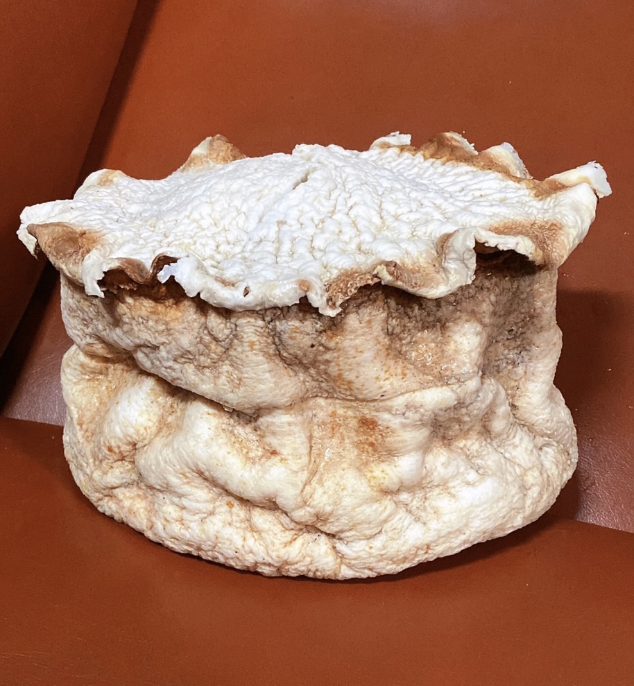 【千年精品老太岁】太岁肉灵芝11斤