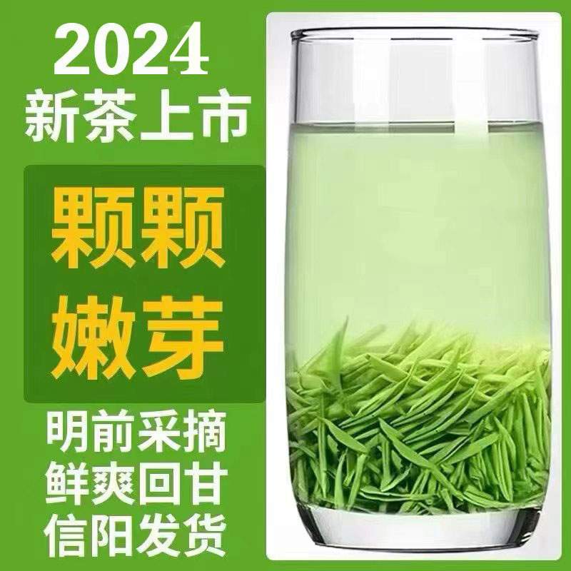 茶叶信阳毛尖2024新茶正宗明前特