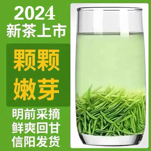 茶叶信阳毛尖2024新茶正宗明前特级嫩芽清香型毛尖绿茶  罐装250g