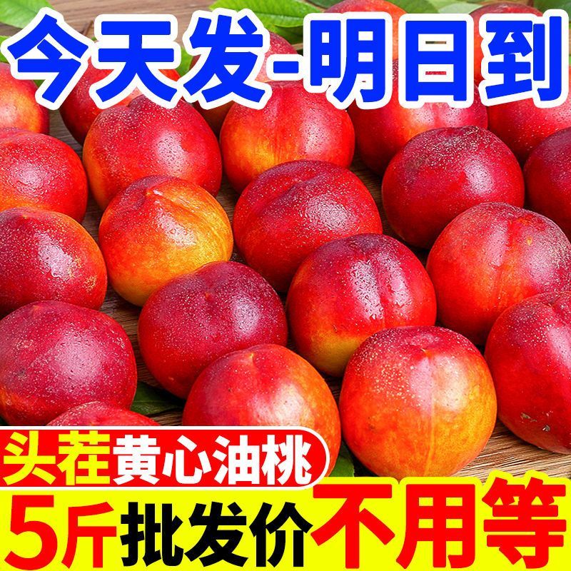黄心油桃10斤新鲜水果应季当季水蜜脆桃5精选黄肉超甜整箱包邮D