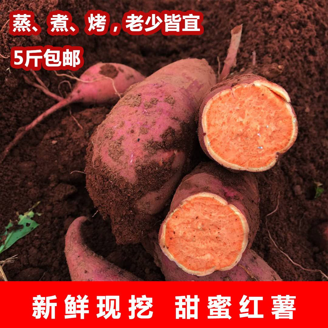 广东翁源人参红薯新鲜蜜薯糖心红薯烟薯25号农家自种香糯番薯5斤