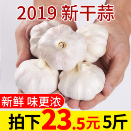 干大蒜头5斤装干蒜2019新鲜紫白皮大蒜头晒干蒜批发包邮非独头蒜