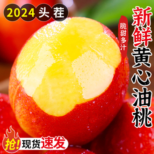 黄心油桃5斤新鲜水果当季大桃子水蜜脆桃黄肉超甜整箱现货10包邮