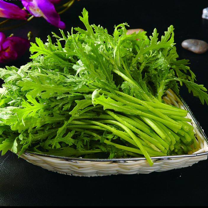 同蒿 菊花菜 茼蒿种子 光杆茼蒿 中叶小叶茼蒿四季播种种籽