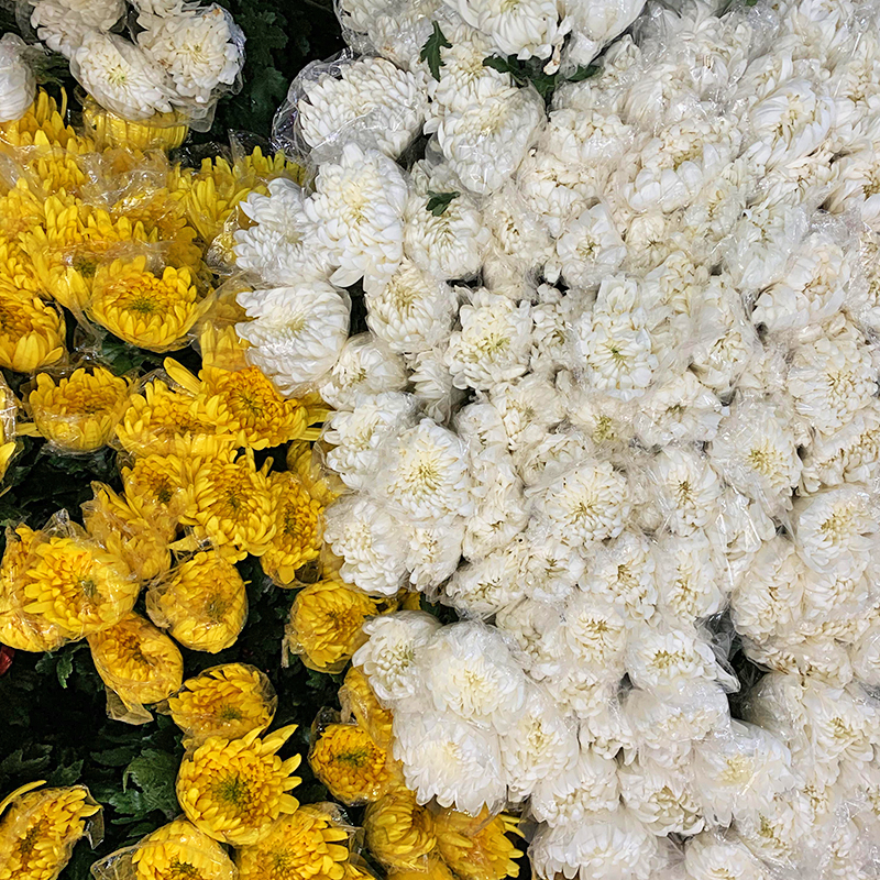 清明扫墓哀悼用花黄白菊花鲜花插花祭祀束用花顺丰包邮北京发货