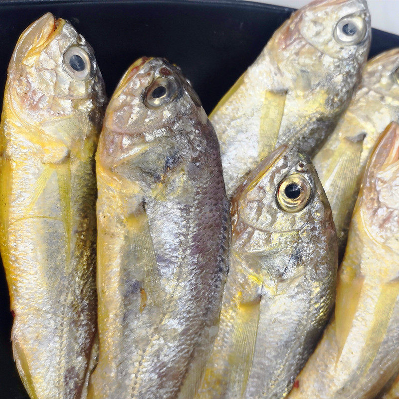 小黄黄鱼野生新鲜海鲜水产鲜活黄海黄花鱼海黄瓜黄鱼