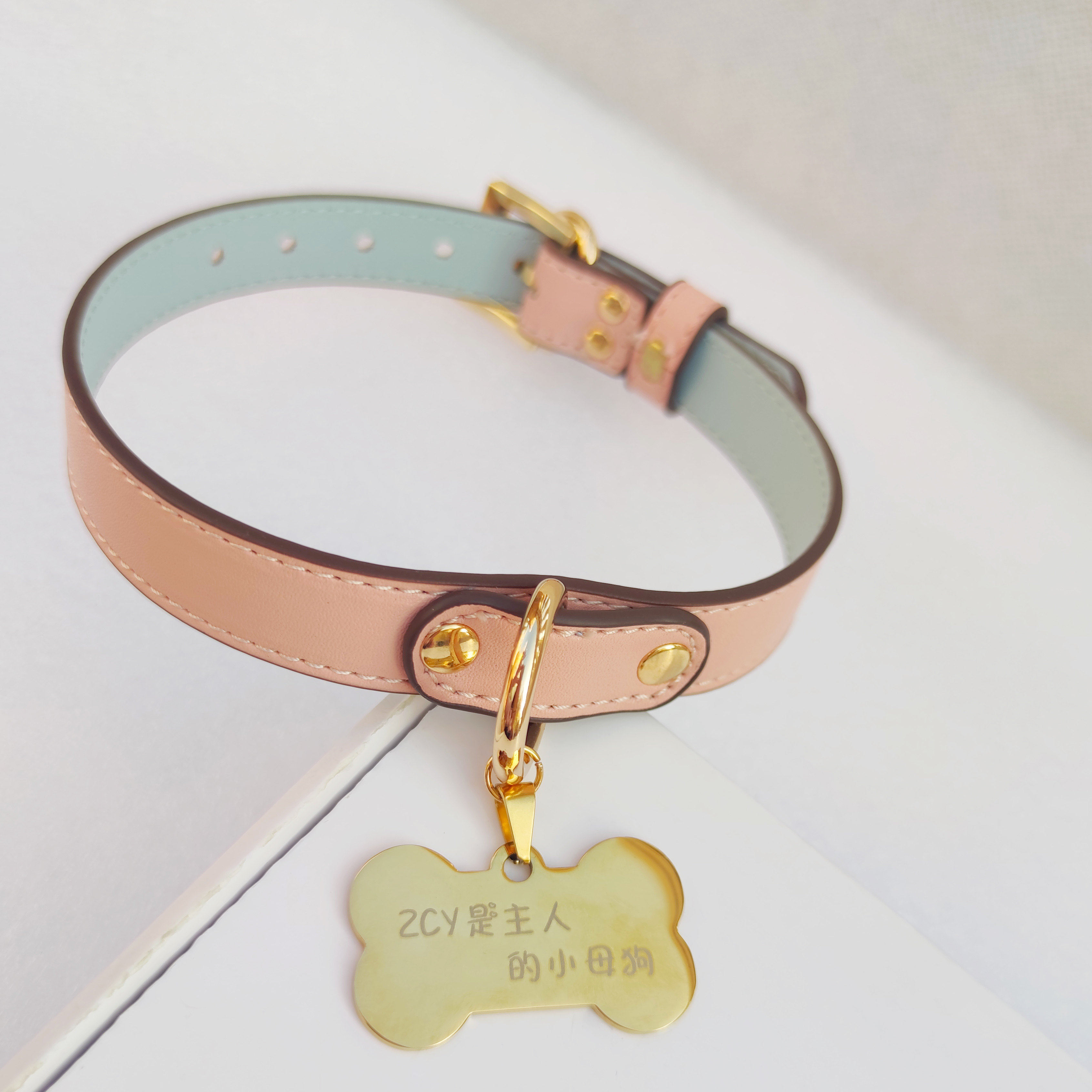 22情侣有趣的小玩意狗链女颈圈颈套choker牵引绳男m项圈皮脖子饰品已