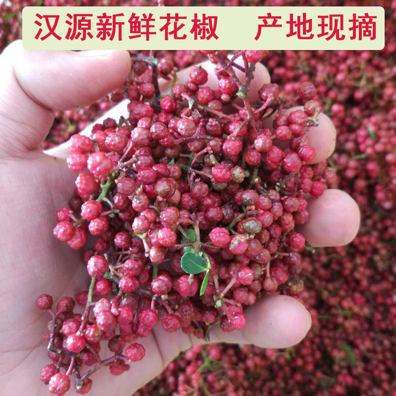 四川新鲜汉源花椒特麻炼手工花椒油商用麻油带叶湿嫩红花椒产地发|ruв категории водной мясо/свежие фрукты и овощи/еда, свежие овощи/овощной продукции, свежие овощи, 新鲜花椒 - от Buy2taobao.com для оказания профессиональной услуги покупки агента Taobao