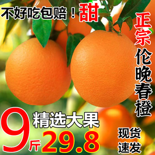 正宗伦晚脐橙江西赣南品种10斤橙子应当季水果新鲜赣州果冻冰糖甜
