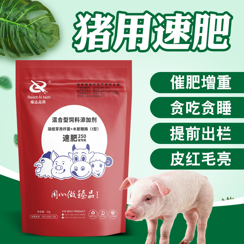 速肥250猪专用增肥饲料添加剂快速催肥增重促生长兽用小猪旺长素