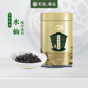 天池茶业1392 凤凰单枞茶潮州凤凰单丛茶叶一级口粮春茶 优选水仙