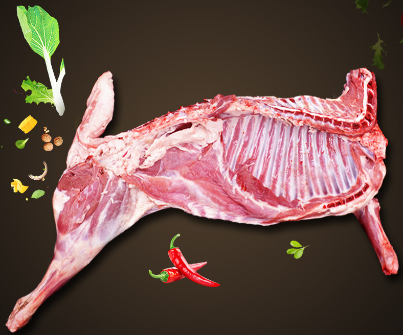 【东乡贡羊】清真半只15斤包邮 大山散养 烧烤清炖 新鲜火锅食材