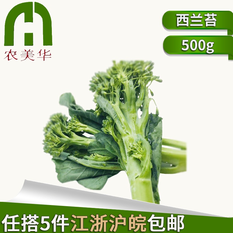 【农美啊华】新鲜西兰苔兰花苔新鲜蔬菜 青花苔 迷你小西兰花500g|msdalam kategori daging perikanan/Buah-buahan segar dan sayur-sayuran/dimasak, sayur-sayuran segar/Vegetable Products, sayur-sayuran segar, 西兰花 - dari Buy2taobao.com untuk memberikan perkhidmatan ejen Taobao profesional membeli