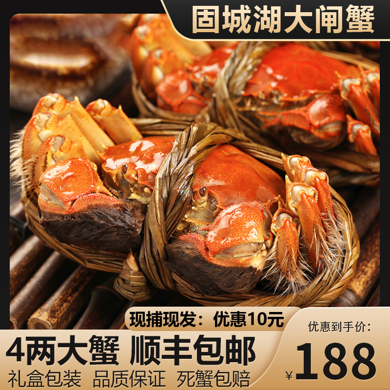 固城湖大闸蟹鲜活螃蟹特大全母蟹4两公2两母8只大闸蟹礼盒送工具|msdalam kategori daging perikanan/Buah-buahan segar dan sayur-sayuran/dimasak, makanan laut/produk akuatik/produk, ketam, ketam - dari Buy2taobao.com untuk memberikan perkhidmatan ejen Taobao profesional membeli
