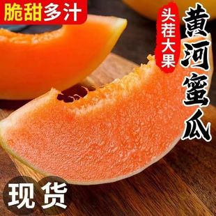 陕西黄河蜜瓜10甜瓜水果新鲜当季整箱斤沙漠黄金哈密瓜香瓜羊角脆