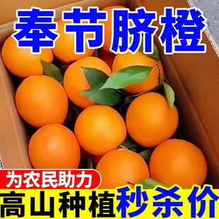 【抢】奉节高山脐橙薄皮汁多甜蜜奉节冰糖橙新鲜水果商用橙子包邮