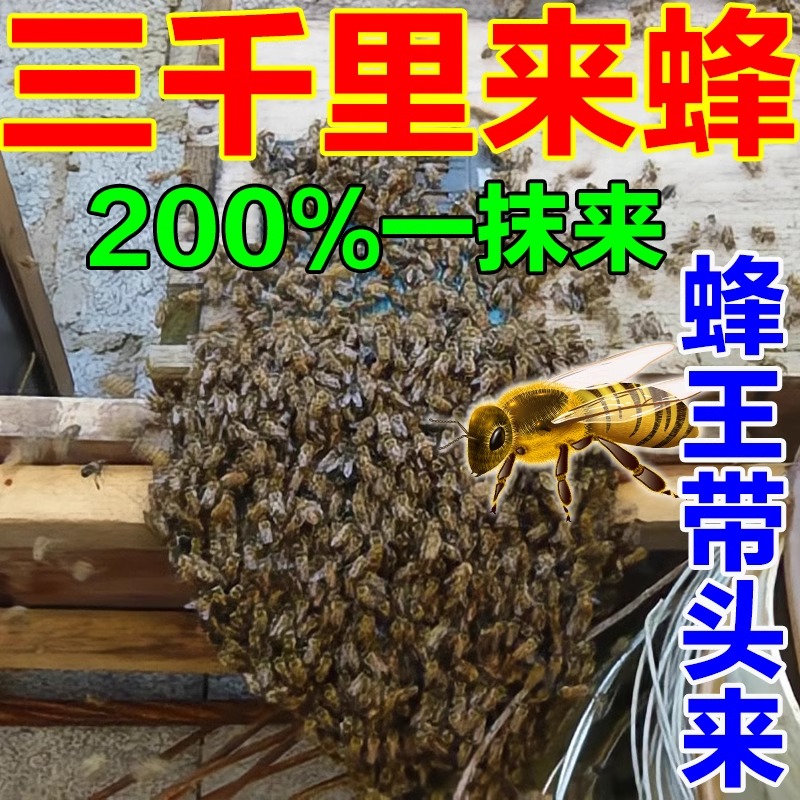 诱蜂膏神器野外强效诱蜂引蜂招蜂新手养蜂专用工具神奇招引蜂水LY