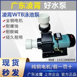 WTB220广东凌霄水泵管道增压电动机机械密封大流量高扬程海水养殖