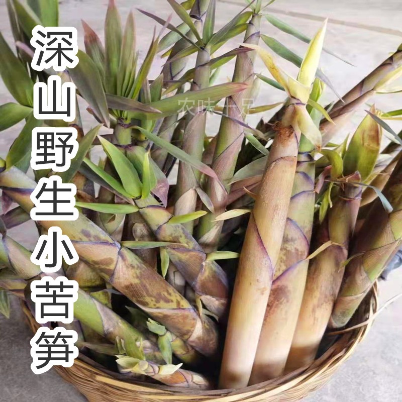 苦笋新鲜福建尤溪特产野生小苦笋竹笋春笋尖手剥笋甘笋凉笋嫩蔬菜