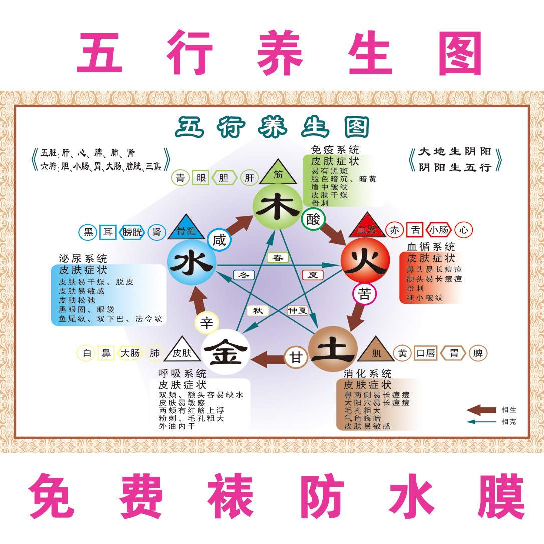 中医阴阳五行图解贴画中医养生文化知识宣传美容院海报挂图画墙贴