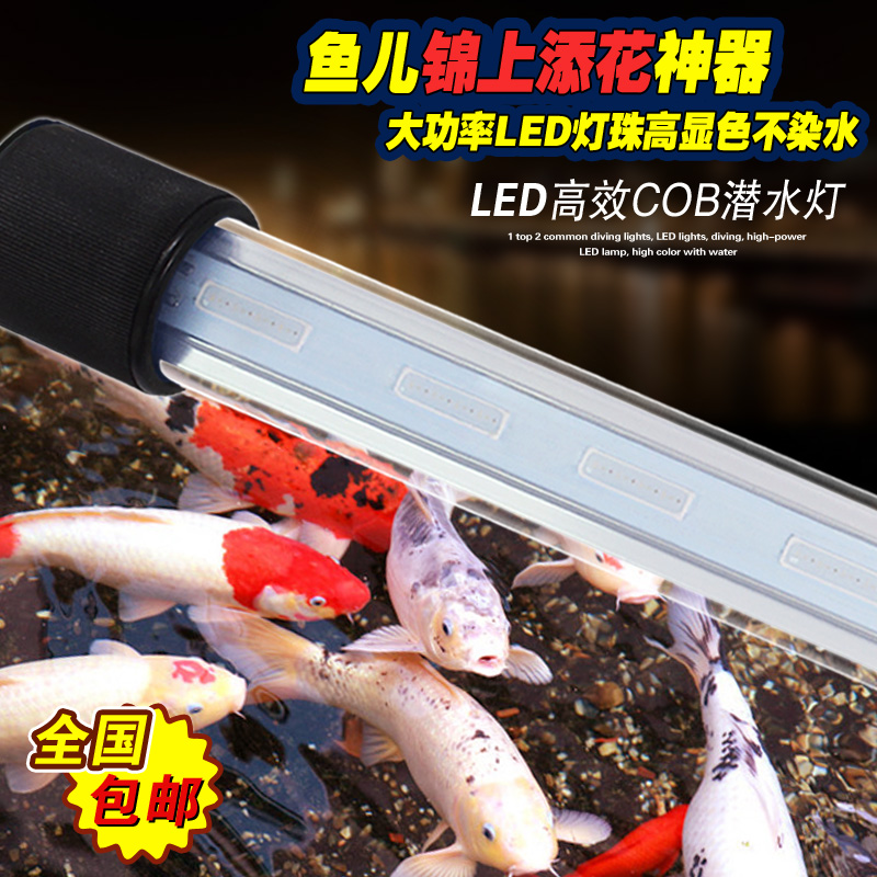 正品保证富族LED潜水灯RGB锦鲤七彩神仙鱼灯COB亮度大鱼缸水族灯在类目 宠物/宠物食品及用品, 水族世界, 鱼缸等水族设备, 照明器材中 - 来自Buy2taobao.com提供专业的淘宝代购服务