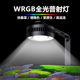 鱼缸灯全光谱WLED筒灯灯爆藻灯爆苔灯原生缸溪流缸蓝寿草缸水草灯