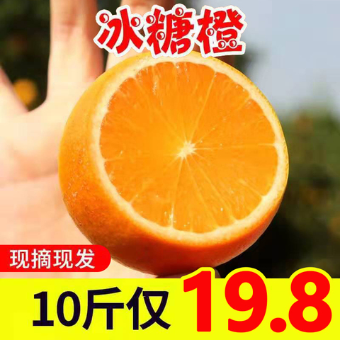 橙子冰糖橙整箱10斤当季新鲜孕妇水果手剥橙柑橘甜橙脐橙果冻橙