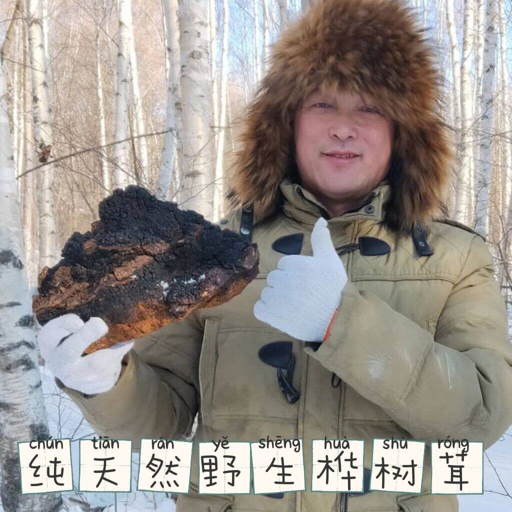 桦褐孔菌野生俄罗斯-特价促销-优惠券领取-价格|多少钱|什么牌子好-35