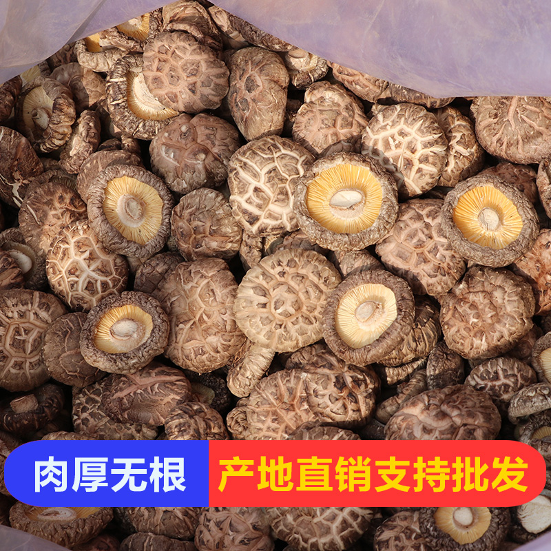 西峡干香菇小花菇干货500g特级肉厚蘑菇家用散装香茹冬菇农家特产