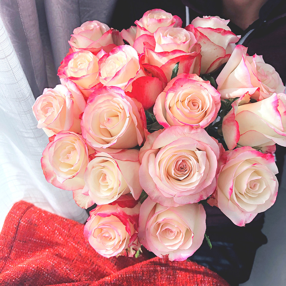 【源头精采】荷兰进口复色玫瑰 10枝/束 sweetness