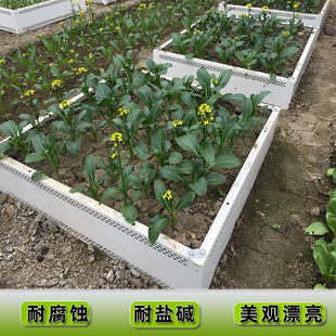 种植箱种花箱种菜盆阳台菜园楼顶室外种菜神器家庭蔬菜盆户外种植