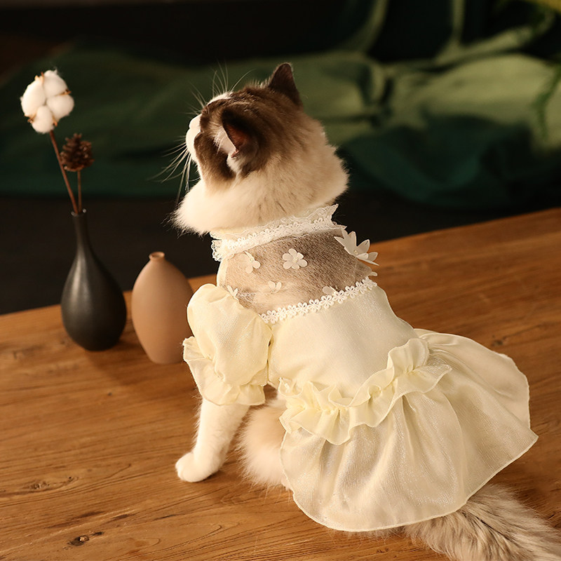 猫咪衣服猫猫秋季秋装薄款布偶猫小猫仙女裙夏季宠物婚纱公主裙子