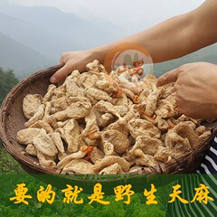 山男中药材野生天麻四川雅安特级春麻头痛食疗2016新货无硫100克