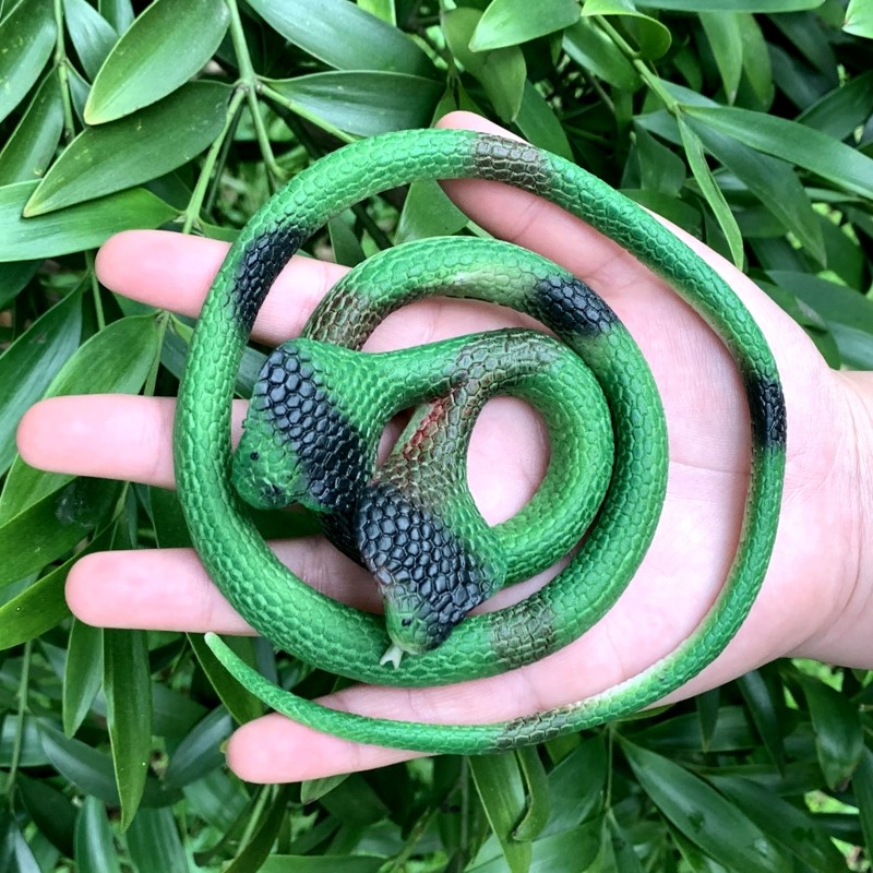 软胶仿真蛇绿色双头假蛇恐怖变异两头眼镜蛇儿童玩具静态动物模型