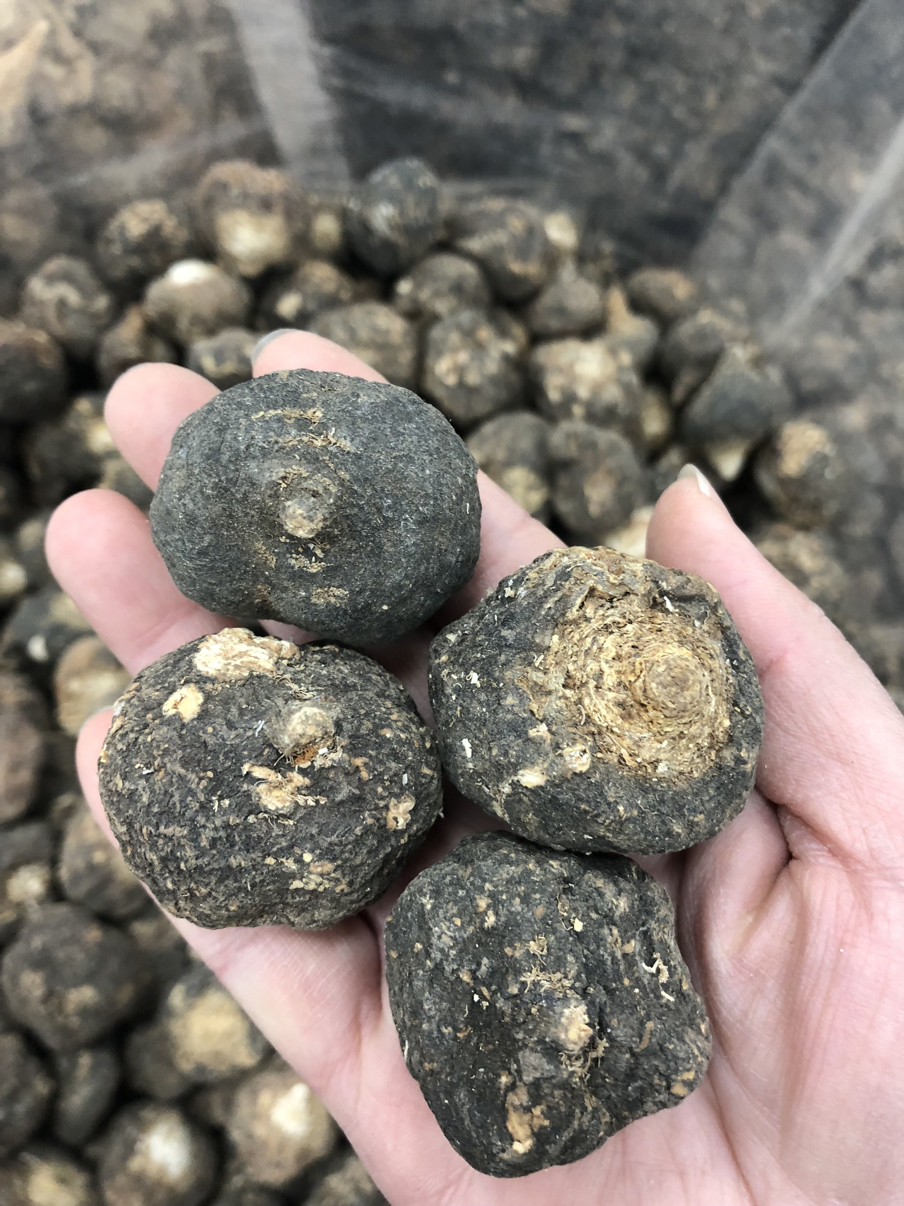 特价进口玛卡片秘鲁正品