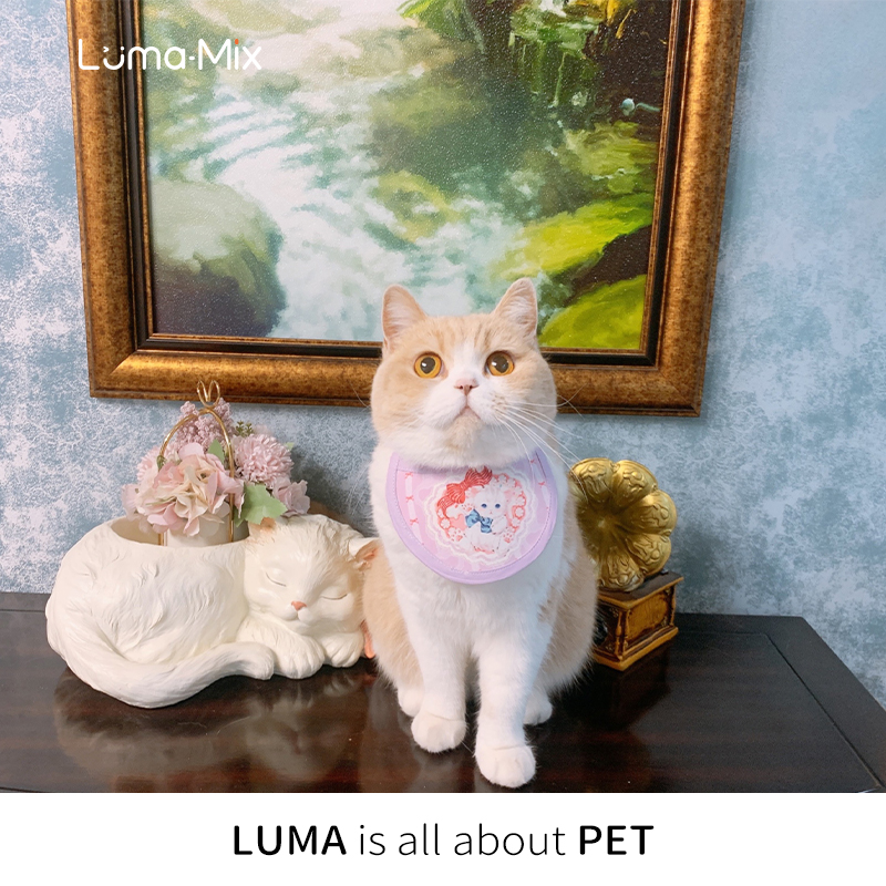 LumaMix盒几 通用原创口水巾宠物猫狗衣服春夏新年过长毛吃饭围兜