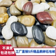 天然鹅卵石石头园艺铺面园林盆栽鱼缸花盆造景石石子花盆装饰石