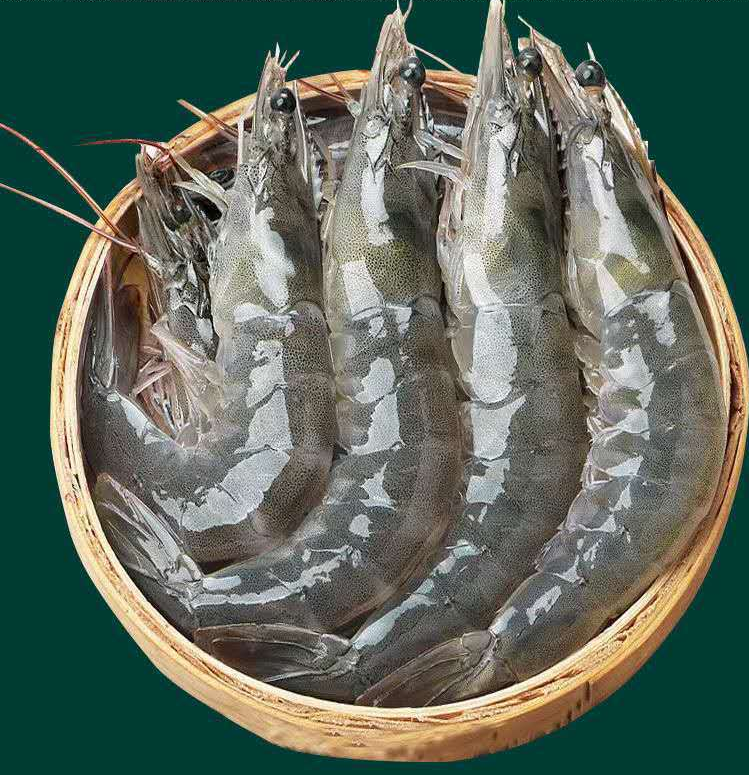 青岛大虾超大海虾鲜活冷冻白虾对虾大虾新鲜海捕大虾